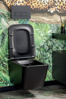 Кнопка смыва Boheme 669-B чёрный